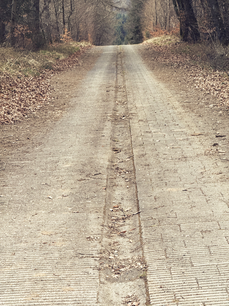 Chris | Ringknipser Handyfotos Nürburgring NLS 1 2025 Chris | Ringknipser Handyfotos Nürburgring NLS 1 2025