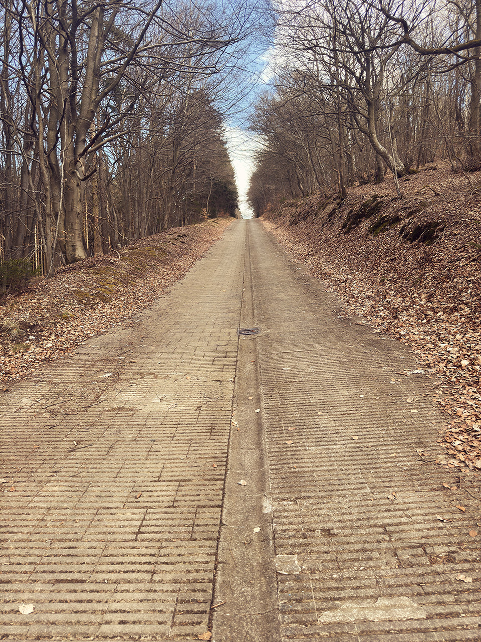 Chris | Ringknipser Handyfotos Nürburgring NLS 1 2025 Chris | Ringknipser Handyfotos Nürburgring NLS 1 2025