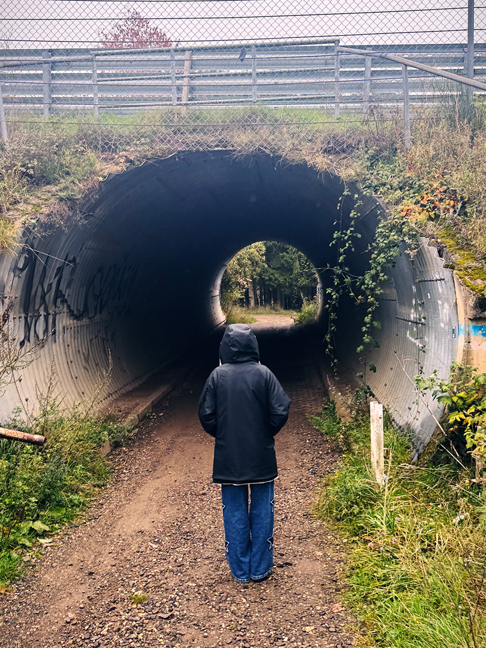 Chris | Ringknipser Handyfotos Nürburgring NLS 10 2025 Chris | Ringknipser Handyfotos Nürburgring NLS 10 2025
